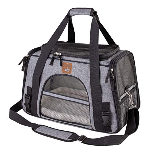 DLAGER Pet Carrier Soft-Sided Cat Carrier and Dog Carrier