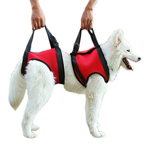 Alfie Pet - Harrison Support & Rehabilitation Lifting Harness Front and Rear Set