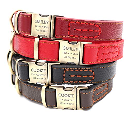Youyixun Personalized Dog Collar, Customize Engraved Dog Collar