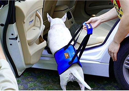 Blue Dog Lift Support Harness with Handle for Canine Older