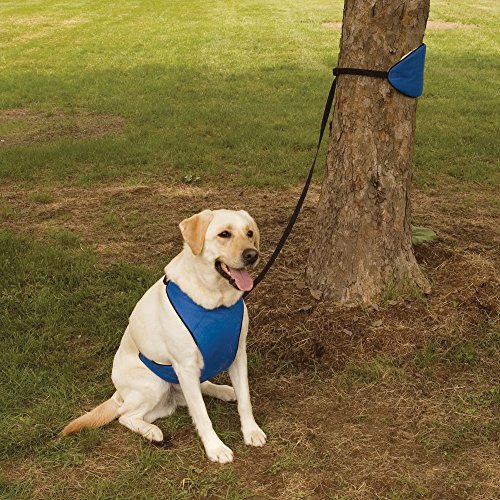 Guardian Gear Nylon Lift & Lead 4-in-1 Dog Harness