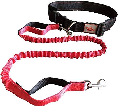 KnK Dog Supplies Hands Free Dog Leash for Large Dog Attachment