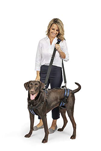 Dog Lifting Aid - Mobility Harness - Large Size