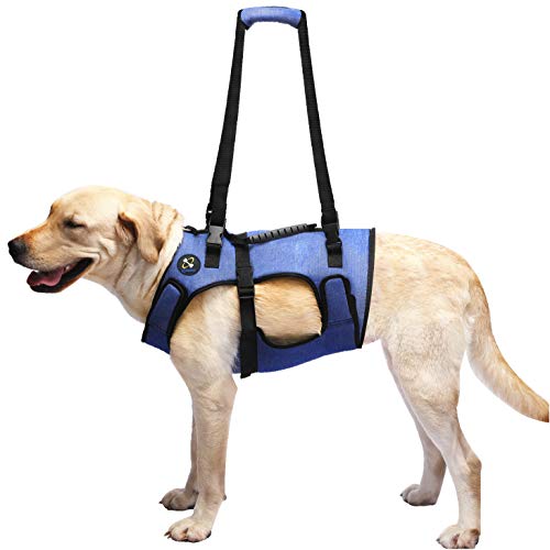 COODEO Dog Lift Harness, Support & Recovery Sling