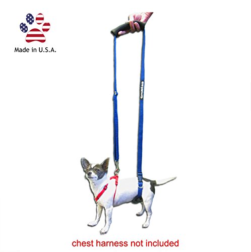 GingerLead Dog Support & Rehabilitation Harness - X-Small - Mini Sling
