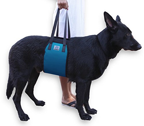 XL Blue Dog Lift Support Harness for canine aid - Lifting Older K9