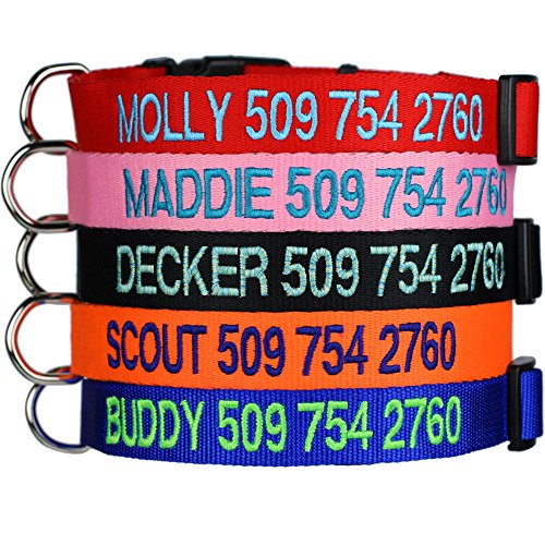 GoTags Personalized, Custom Embroidered Pet ID Dog Collar