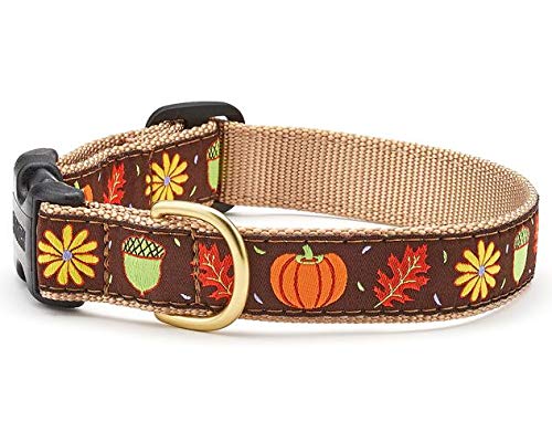 Up Country Dog Collar - Harvest Time (Medium/Wide)