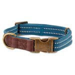 Reddy Slate Blue Webbed Nylon Dog Collar