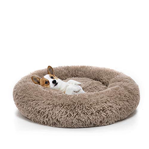 MIXJOY Orthopedic Dog Bed Comfortable Donut Cuddler Round Dog