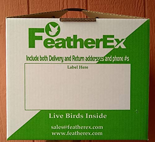 FeatherEx Package of 12-12 x 12 Boxes : Live Bird Shipping Boxes