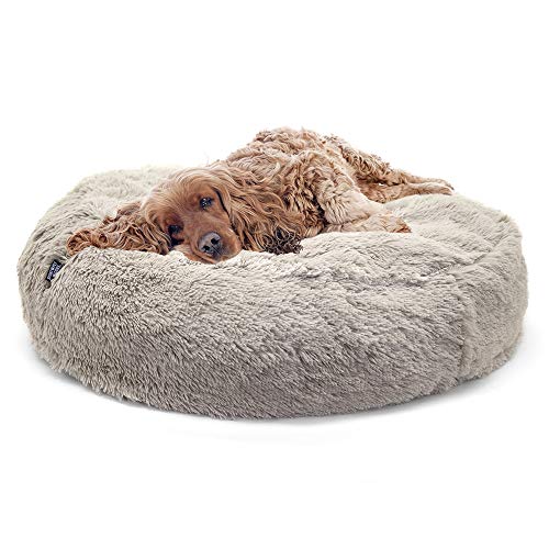 SportPet Designs Large Luxury Waterproof Pet Bed