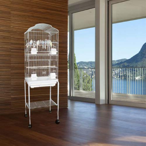 Mcage 63-Inch Large Flight Bird Cage for Cockatiel Quaker Parrot Sun Parakeet