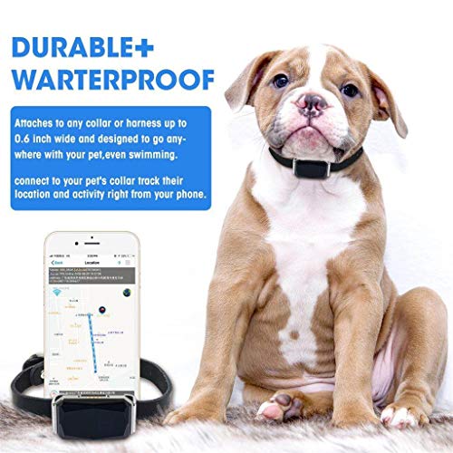 Pet GPS Tracker,Adjustable Dog cat Anti-Lost GPS Collar,Fashion Pets