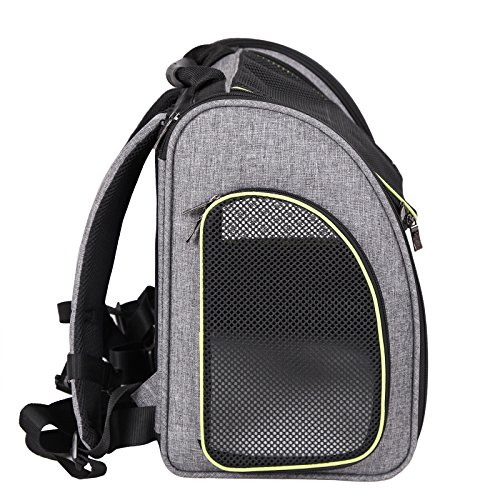 Petsfit Dogs Carriers Backpack for Cat/Dog/Guinea Pig/Bunny Durable ...