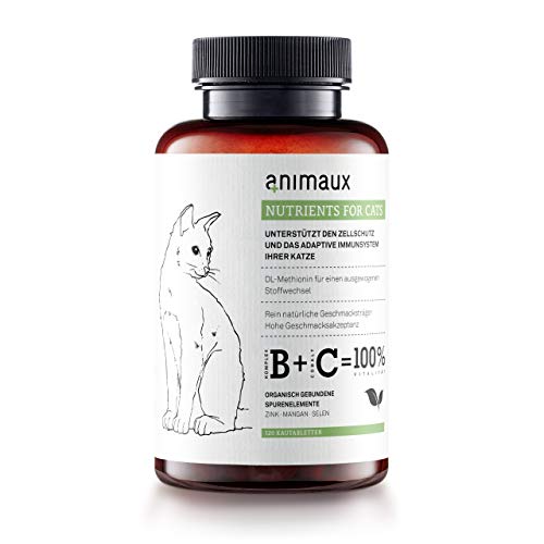 animaux - nutrients for Cats | All-Natural Cat Vitamins to Strengthen The Immune
