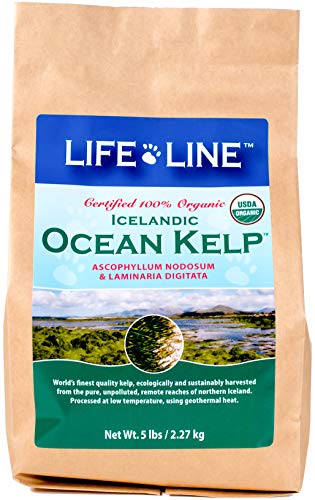 Life Line Pet Nutrition Organic Ocean Kelp Supplement for Skin & Coat