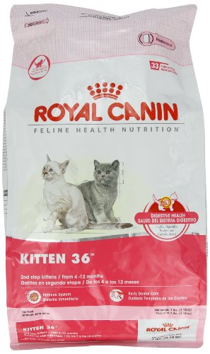 Royal Canin Dry Cat Food, Kitten 36 Formula, 7-Pound Bag