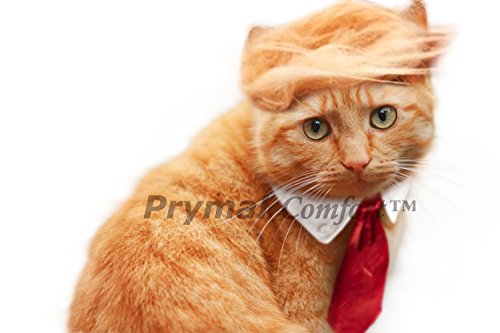 Prymal Comfort Trump Cat/Dog Costume for Halloween, Parties and Pictures