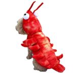 Coppthinktu Lobster Dog Costume - Halloween Lobster Costume for Dogs