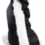 Casual Canine Lil' Stinker Dog Costume, Medium (fits lengths up to 16")