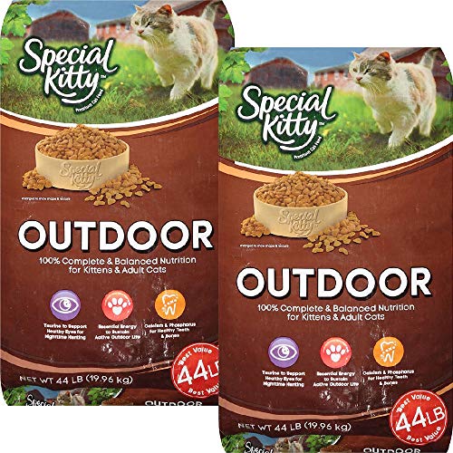 Special Kitty Outdoor 44 Lbs Bag of Dry Cat Food
