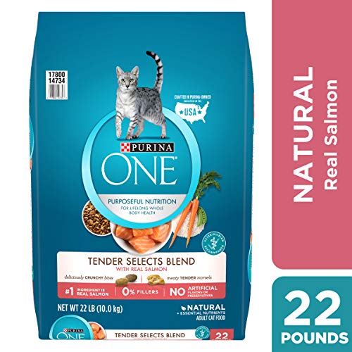 Purina ONE Natural Dry Cat Food, Tender Selects Blend With Real Salmon