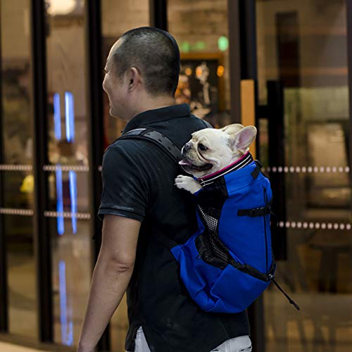 Airline-Approved Pet Dog Cat Carrier Backpack for Small Puppy