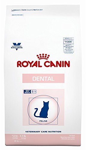 ROYAL CANIN Feline Dental Dry (7.7 lb) by Royal Canin