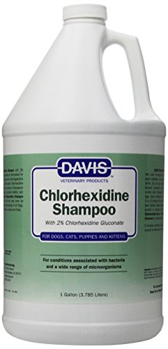 Davis Chlorhexidine Pet Shampoo, 1-Gallon
