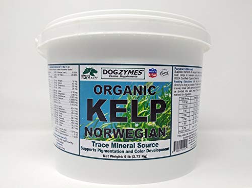 Dogzymes Certified Organic Norwegian Kelp Pet Supplement
