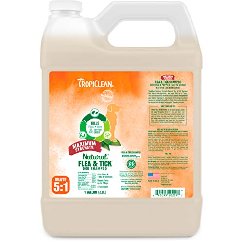 TropiClean Natural Flea and Tick Maximum Strength Shampoo for Dogs