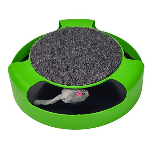 Pasking Cat Toys Interactive, Catch the Mouse Cat Toy with a Running Mouse