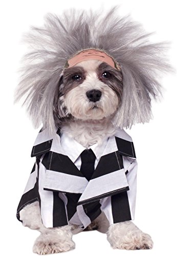 Rubie's Beetlejuice Pet Costume, Medium