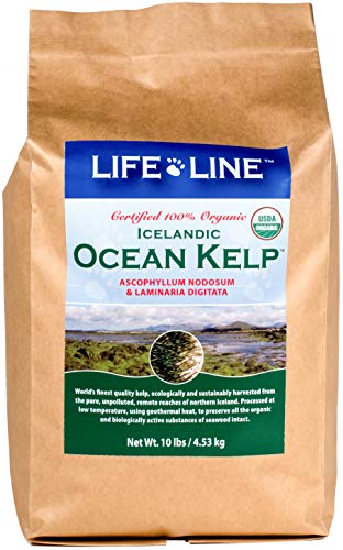 Life Line Pet Nutrition Organic Ocean Kelp Supplement for Skin & Coat