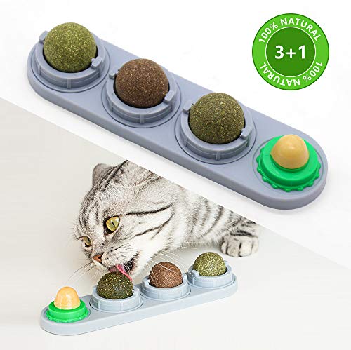 Fansun Catnip Cat Toys - Rotating Edible Cat Mint Ball with Natural Healthy Silvervine