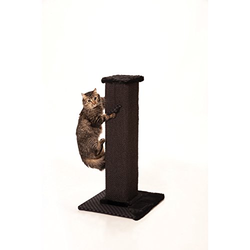 Max & Marlow Scratch Post Tower