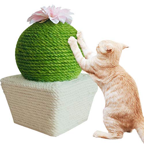 Cactus Cat Scratching Board: The Ultimate Kitty Playmate! 🌵🐾