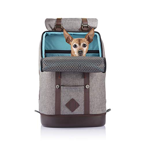 Kurgo Dog Carrier Backpack for Small Pets - Dogs & Cats | TSA Airline Approved