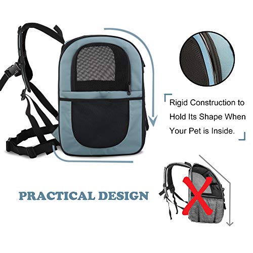 apollo walker Pet Carrier Backpack for Small Cats and Dogs, Puppies ...