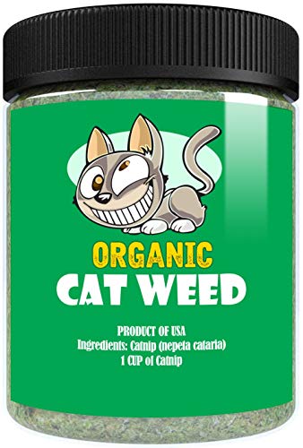 Cat Weed Organic Catnip has Maximum Potency Premium Blend Nip That Your Cats