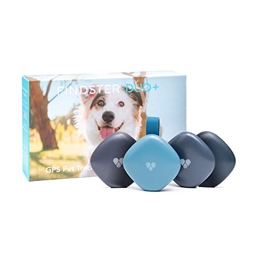 Findster Duo+ Pet Tracker Free of Monthly Fees - GPS Tracking Collar for Dogs