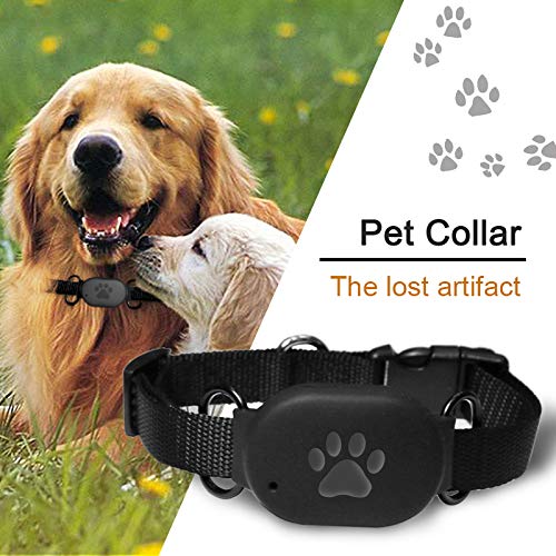 Dog GPS Tracking Pet Waterproof Real-Time Tracking Collar Device Free of Monthly Fees GPS Tracking Collar for Dogs and Cats & Pet Activity Monitor