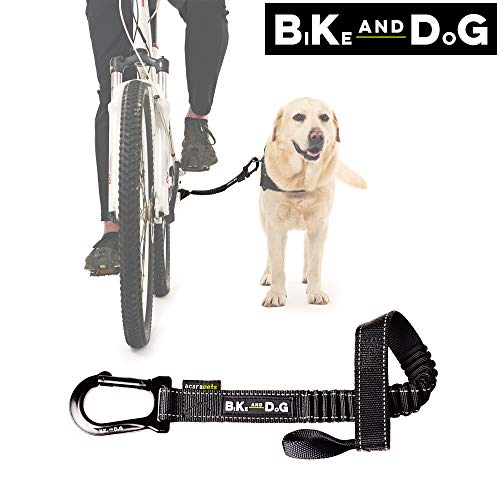 BIKE AND DOG Leash: Designed to take one or More Dogs with a Bicycle. Patented Product.