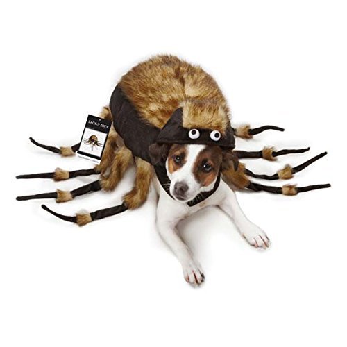 Zack & Zoey Fuzzy Tarantula Costume for Dogs, 20" Large