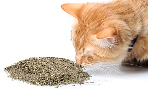 Cat Crack Catnip, Premium Blend Safe for Cats, Infused with Maximum Potency
