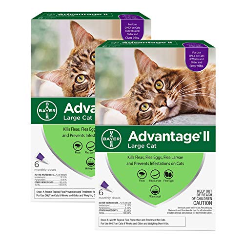 Bayer Advantage II Flea Prevention for Large Cats - 6 Doses