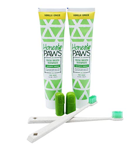 Honest Paws Natural Dog Dental Care Training Kit in Vanilla Ginger Flavor