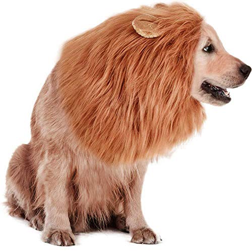 Rwm Dog Lion Mane Costume - Pet Wig Clothes for Halloween Party