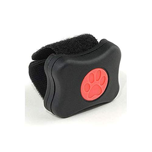 PitPat 2 - Dog Activity Monitor